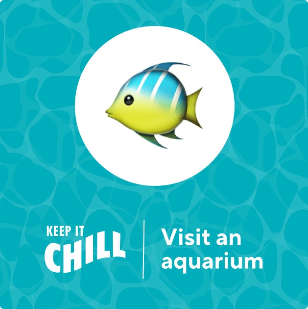 Visit An Aquarium